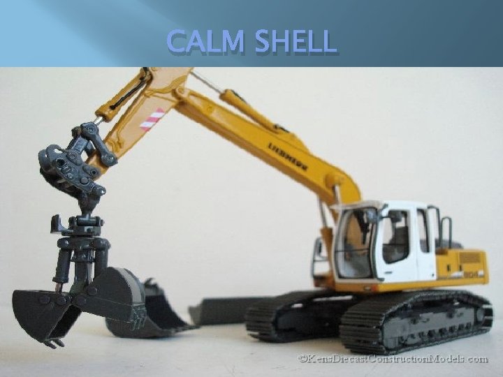 CALM SHELL CALM SHELL