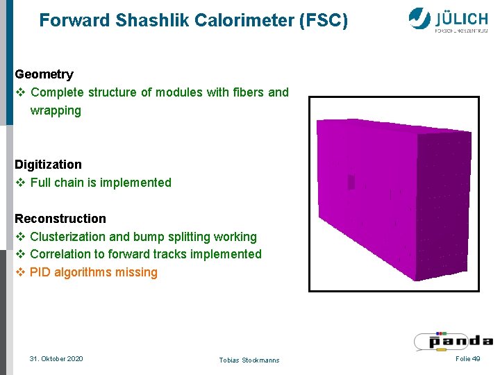 Forward Shashlik Calorimeter (FSC) Geometry v Complete structure of modules with fibers and wrapping