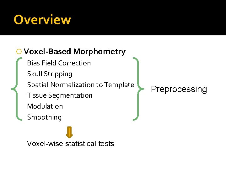 Overview Voxel-Based Morphometry Bias Field Correction Skull Stripping Spatial Normalization to Template Tissue Segmentation