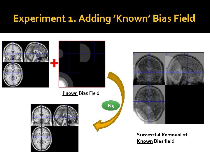 Experiment 1. Adding ’Known’ Bias Field + Known Bias Field N 3 Successful Removal