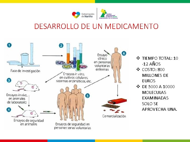 DESARROLLO DE UN MEDICAMENTO v TIEMPO TOTAL: 10 -12 AÑOS v COSTO: 800 MILLONES