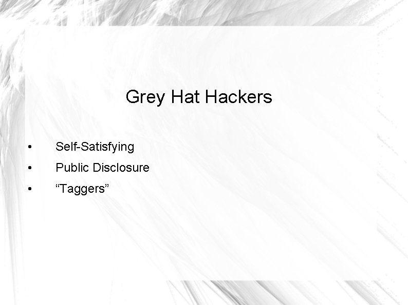 Grey Hat Hackers • Self-Satisfying • Public Disclosure • “Taggers” 