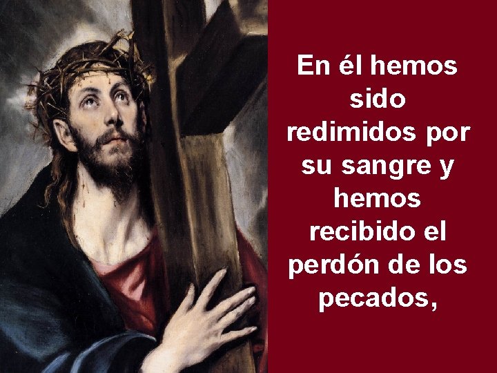 En él hemos sido redimidos por su sangre y hemos recibido el perdón de