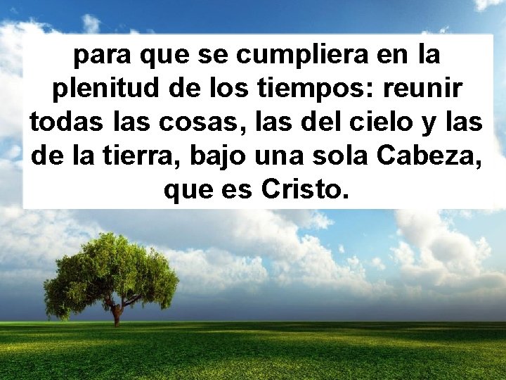 para que se cumpliera en la plenitud de los tiempos: reunir todas las cosas,