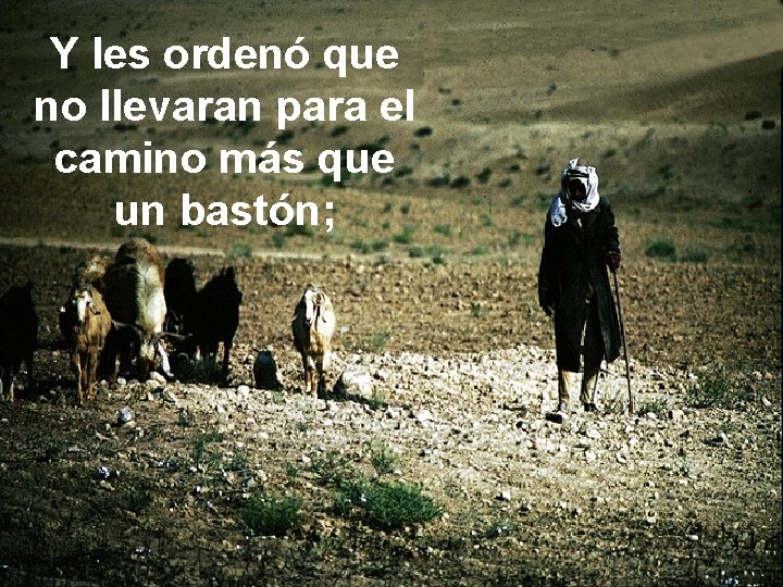 Y les ordenó que no llevaran para el camino más que un bastón; 