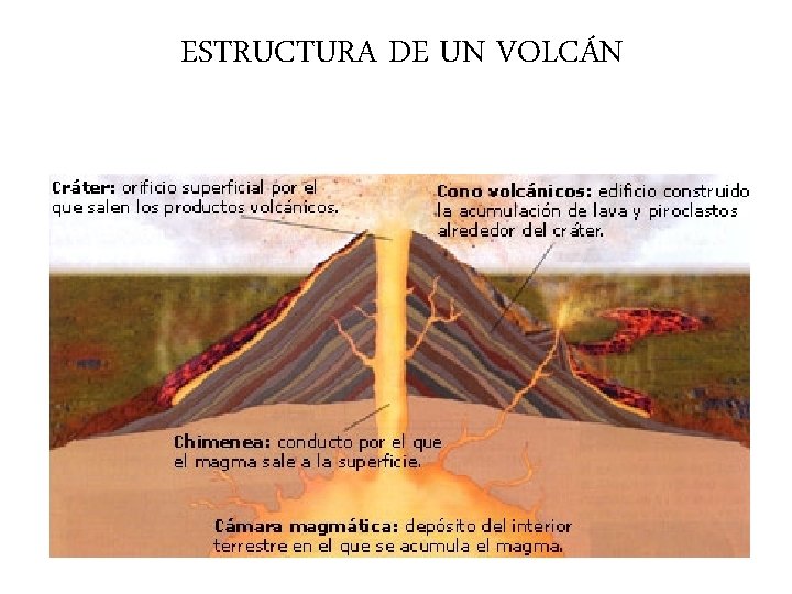 ESTRUCTURA DE UN VOLCÁN ESTRUCTURA DE UN VOLCÁN