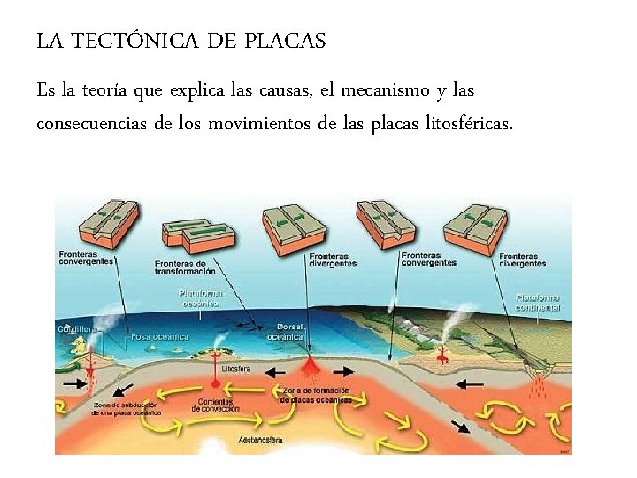 LA TECTÓNICA DE PLACAS Es la teoría que explica las causas, el mecanismo y