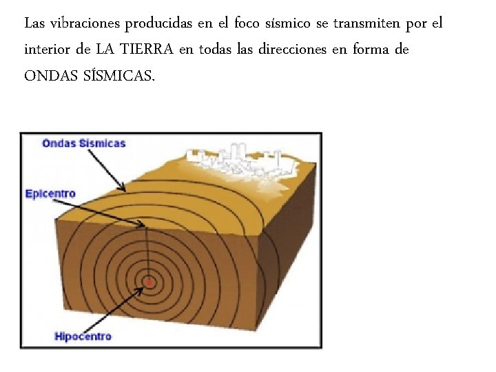 Las vibraciones producidas en el foco sísmico se transmiten por el interior de LA