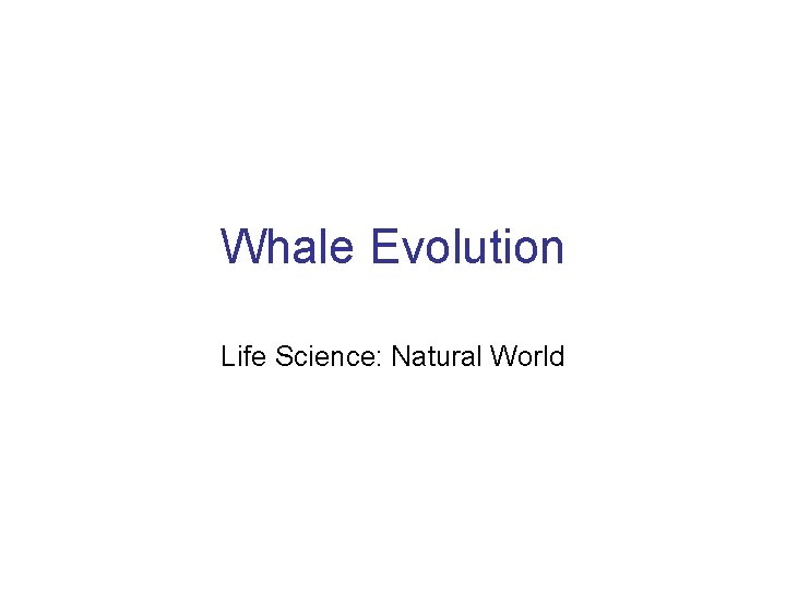 Whale Evolution Life Science: Natural World 