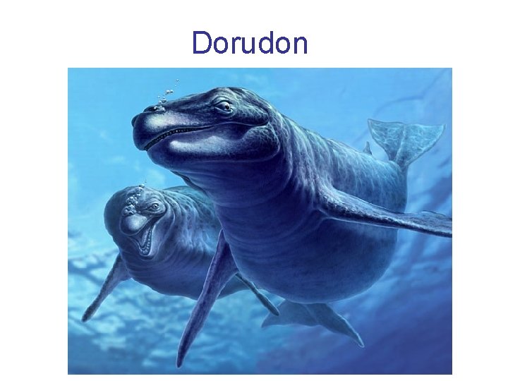 Dorudon 