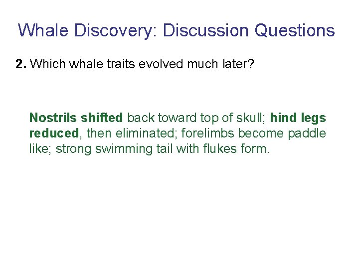 Whale Discovery: Discussion Questions 2. Which whale traits evolved much later? Nostrils shifted back