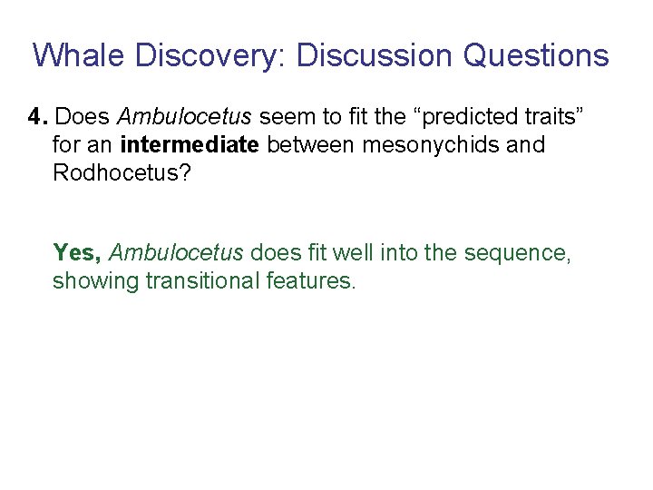 Whale Discovery: Discussion Questions 4. Does Ambulocetus seem to fit the “predicted traits” for