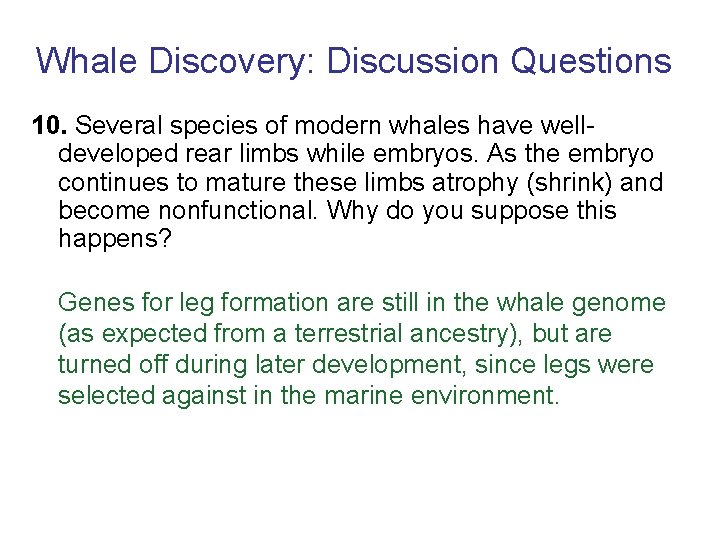 Whale Discovery: Discussion Questions 10. Several species of modern whales have welldeveloped rear limbs