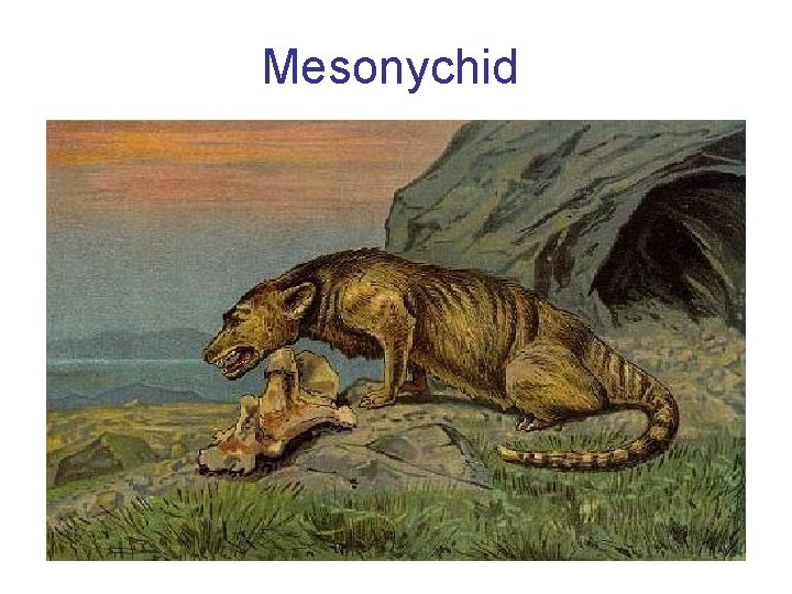 Mesonychid 