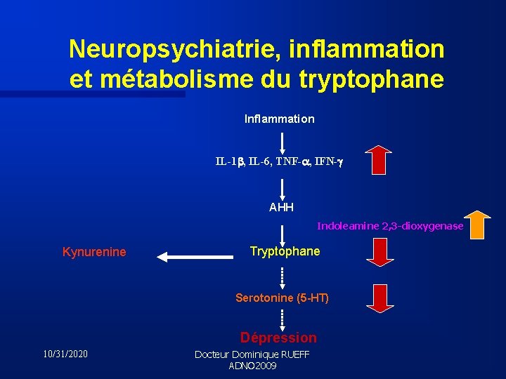 Neuropsychiatrie, inflammation et métabolisme du tryptophane Inflammation IL-1 b, IL-6, TNF-a, IFN-g AHH Indoleamine
