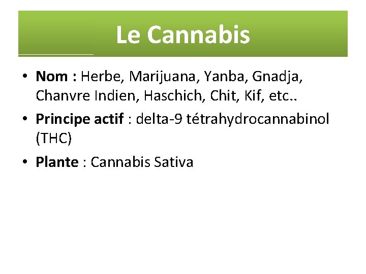 Le Cannabis • Nom : Herbe, Marijuana, Yanba, Gnadja, Chanvre Indien, Haschich, Chit, Kif,