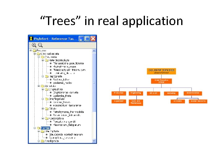 “Trees” in real application 