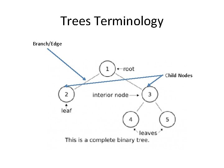 Trees Terminology Branch/Edge Child Nodes 
