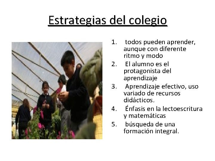 Estrategias del colegio 1. 2. 3. 4. 5. todos pueden aprender, aunque con diferente