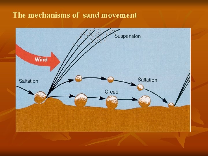 The mechanisms of sand movement 
