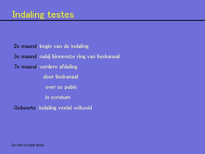 Indaling testes 2 e maand: begin van de indaling 3 e maand: nabij binnenste