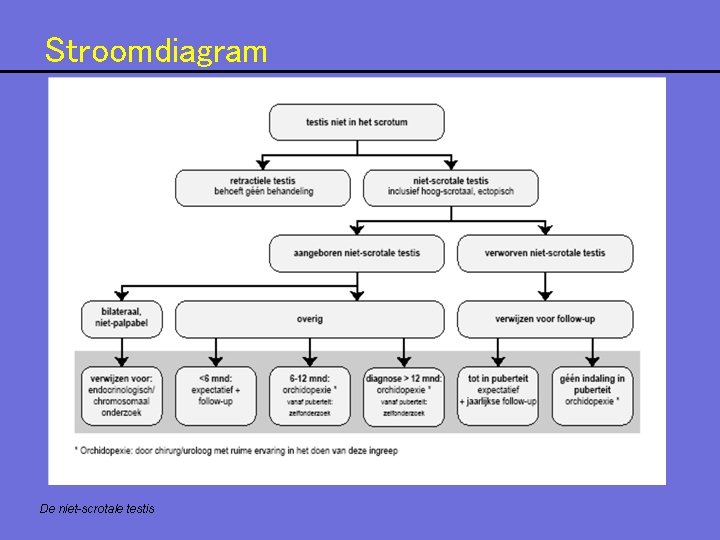 Stroomdiagram De niet-scrotale testis Stroomdiagram De niet-scrotale testis