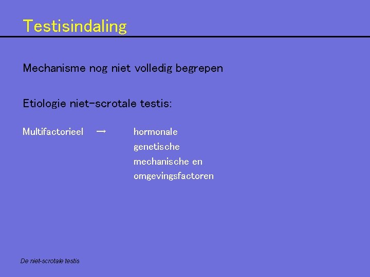 Testisindaling Mechanisme nog niet volledig begrepen Etiologie niet-scrotale testis: Multifactorieel De niet-scrotale testis → Testisindaling Mechanisme nog niet volledig begrepen Etiologie niet-scrotale testis: Multifactorieel De niet-scrotale testis →