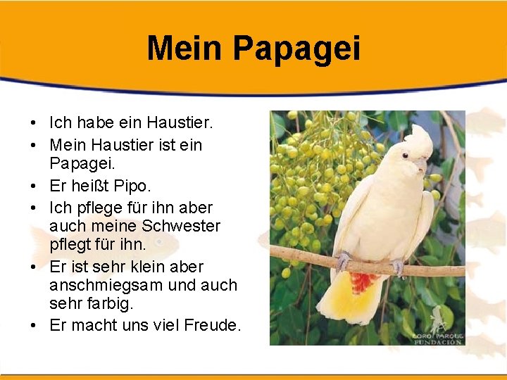 Mein Papagei • Ich habe ein Haustier. • Mein Haustier ist ein Papagei. •