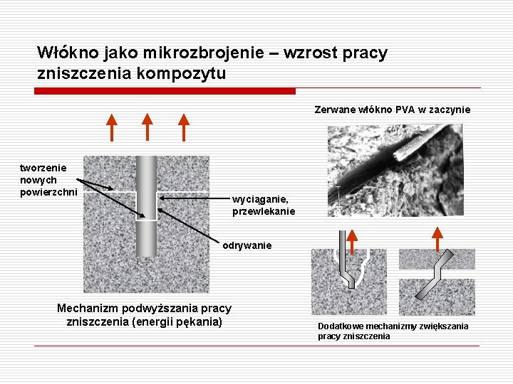 Włókno jako mikrozbrojenie – wzrost pracy zniszczenia kompozytu Zerwane włókno PVA w zaczynie tworzenie