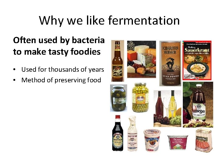 Why we like fermentation Often used by bacteria to make tasty foodies • Used