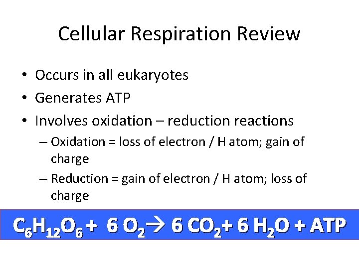 Cellular Respiration Review • Occurs in all eukaryotes • Generates ATP • Involves oxidation