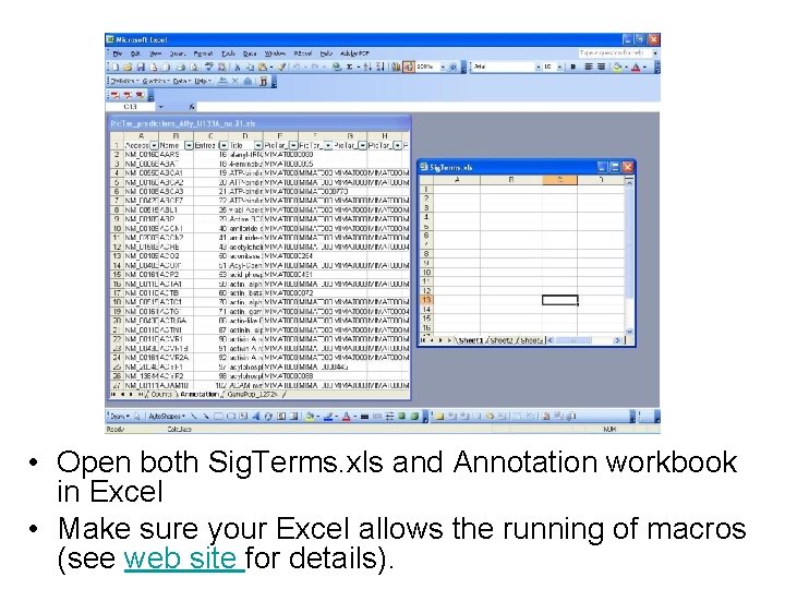  • Open both Sig. Terms. xls and Annotation workbook in Excel • Make