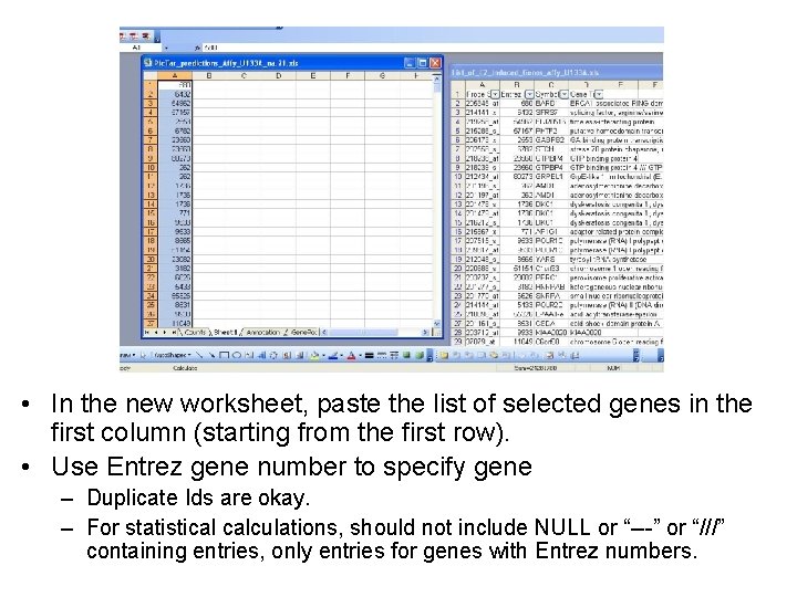  • In the new worksheet, paste the list of selected genes in the