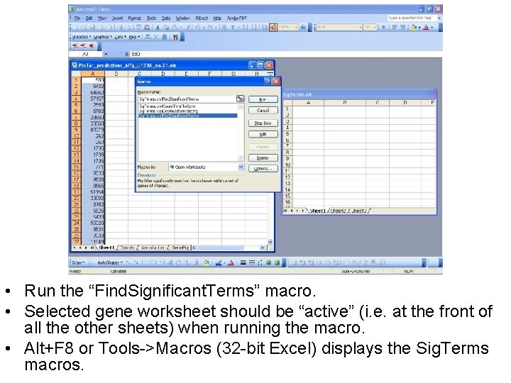  • Run the “Find. Significant. Terms” macro. • Selected gene worksheet should be