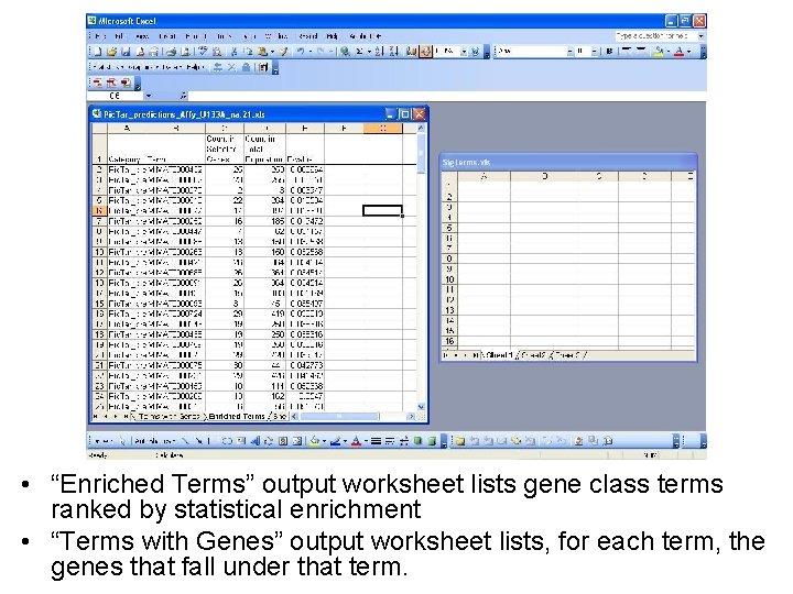  • “Enriched Terms” output worksheet lists gene class terms ranked by statistical enrichment