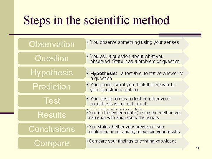 Steps in the scientific method Observation • You observe something using your senses Question Steps in the scientific method Observation • You observe something using your senses Question