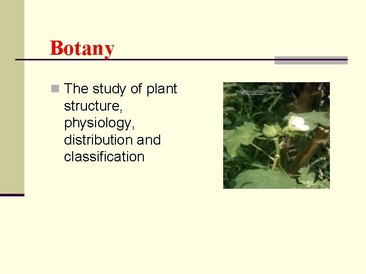 Botany n The study of plant structure, physiology, distribution and classification Botany n The study of plant structure, physiology, distribution and classification