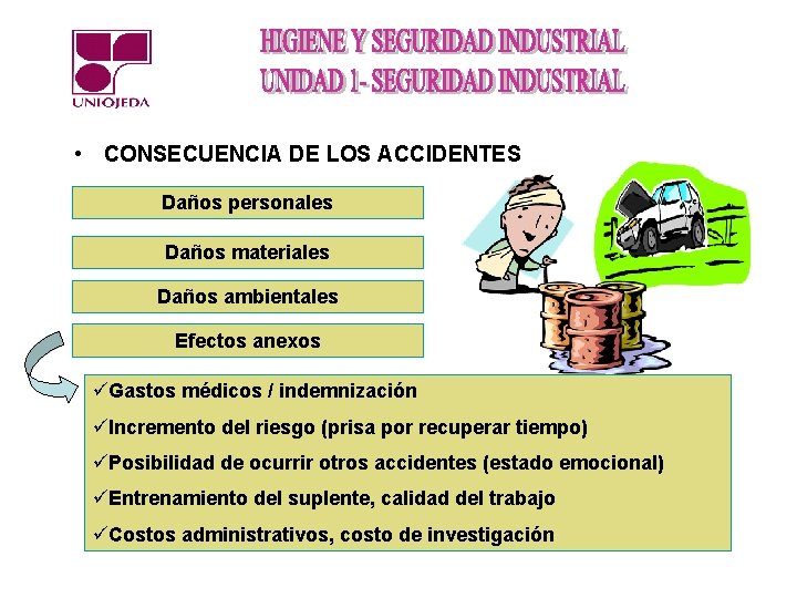  • CONSECUENCIA DE LOS ACCIDENTES Daños personales Daños materiales Daños ambientales Efectos anexos
