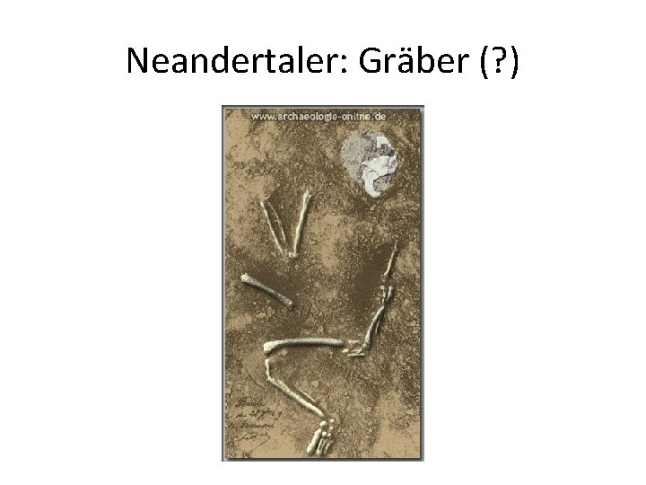 Neandertaler: Gräber (? ) 
