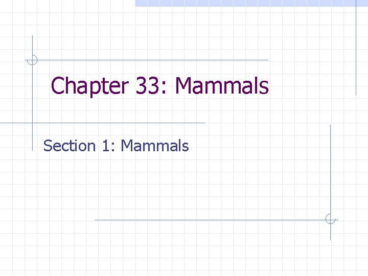 Chapter 33: Mammals Section 1: Mammals 