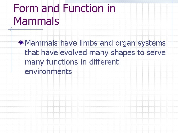 Form and Function in Mammals have limbs and organ systems that have evolved many