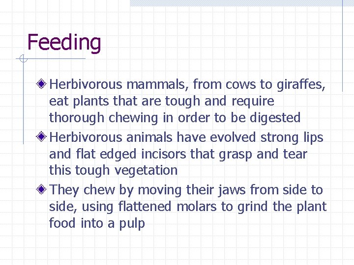 Feeding Herbivorous mammals, from cows to giraffes, eat plants that are tough and require