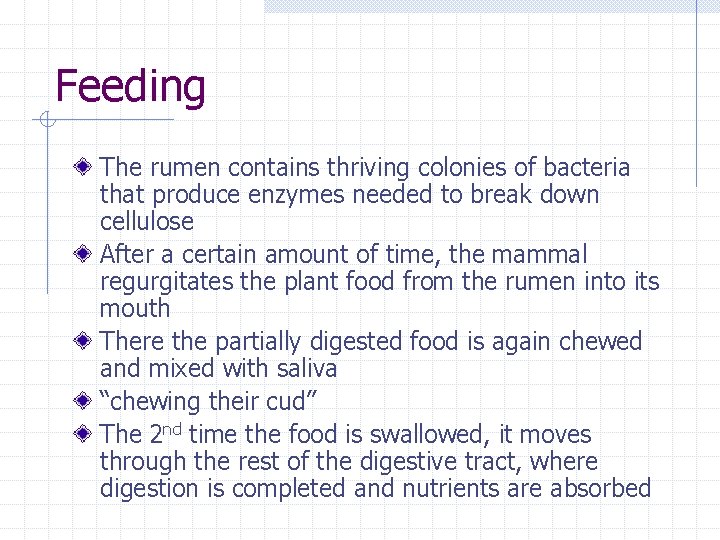 Feeding The rumen contains thriving colonies of bacteria that produce enzymes needed to break