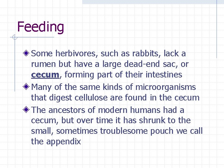 Feeding Some herbivores, such as rabbits, lack a rumen but have a large dead-end