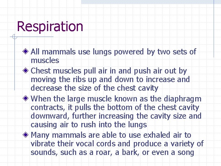 Respiration All mammals use lungs powered by two sets of muscles Chest muscles pull