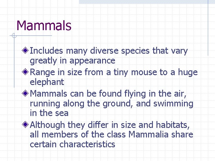 Mammals Includes many diverse species that vary greatly in appearance Range in size from