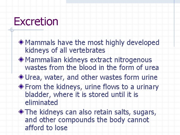 Excretion Mammals have the most highly developed kidneys of all vertebrates Mammalian kidneys extract