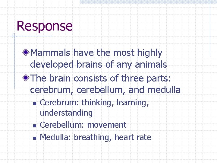 Response Mammals have the most highly developed brains of any animals The brain consists