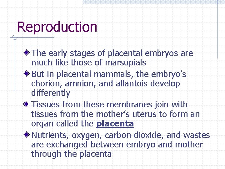 Reproduction The early stages of placental embryos are much like those of marsupials But