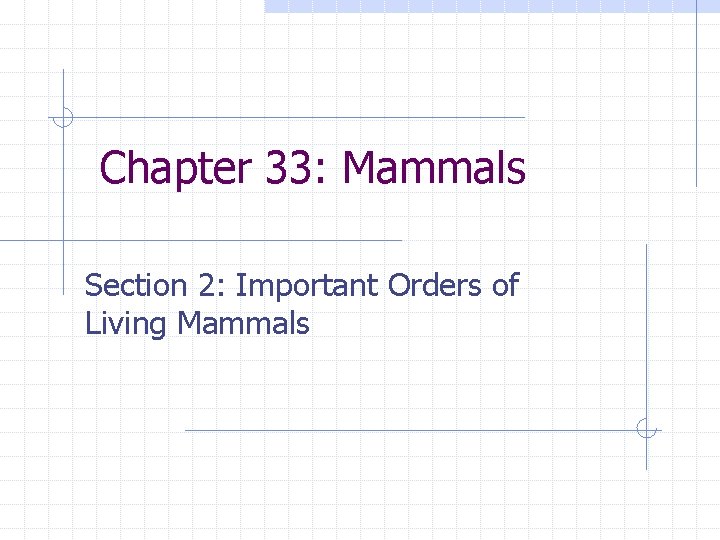 Chapter 33: Mammals Section 2: Important Orders of Living Mammals 